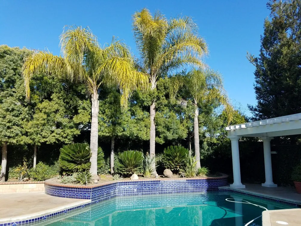 Affordable landscaping services for outdoor upgrades in Stockton, CA by Apes Tree Service
