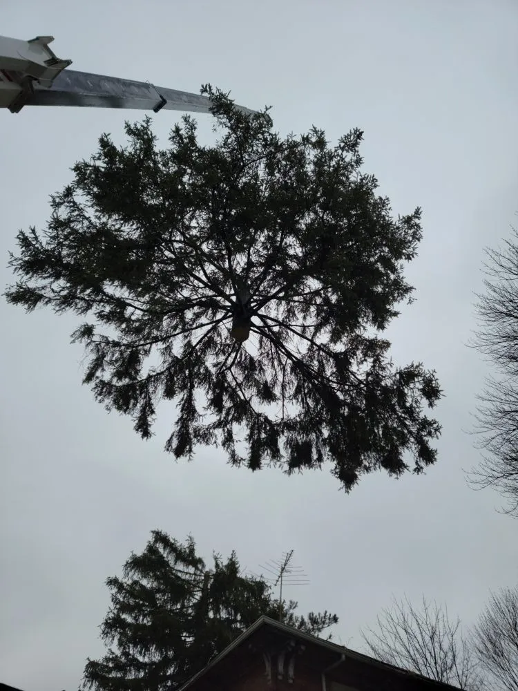 Trusted residential landscaping in Ravenna, OH - Apex -Solutionz