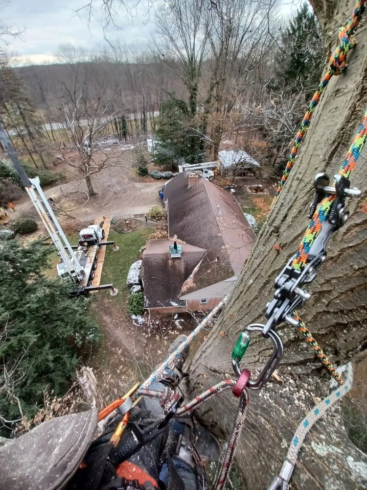 Affordable lawn care service experts serving Ravenna, OH - Apex -Solutionz