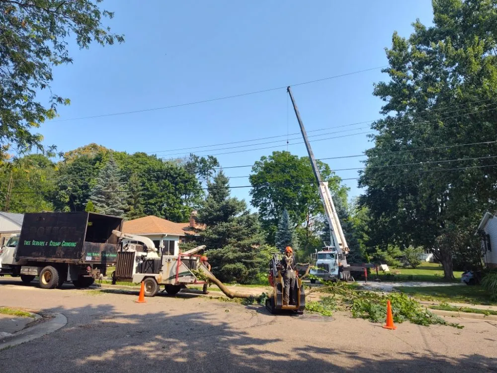 Top-rated yard cleanup service in Ravenna, OH by Apex -Solutionz