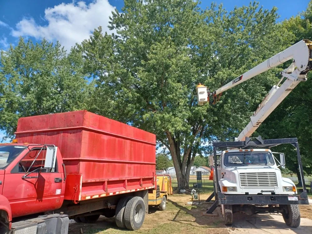 Reliable landscape design for outdoor upgrades across Ravenna, OH - Apex -Solutionz