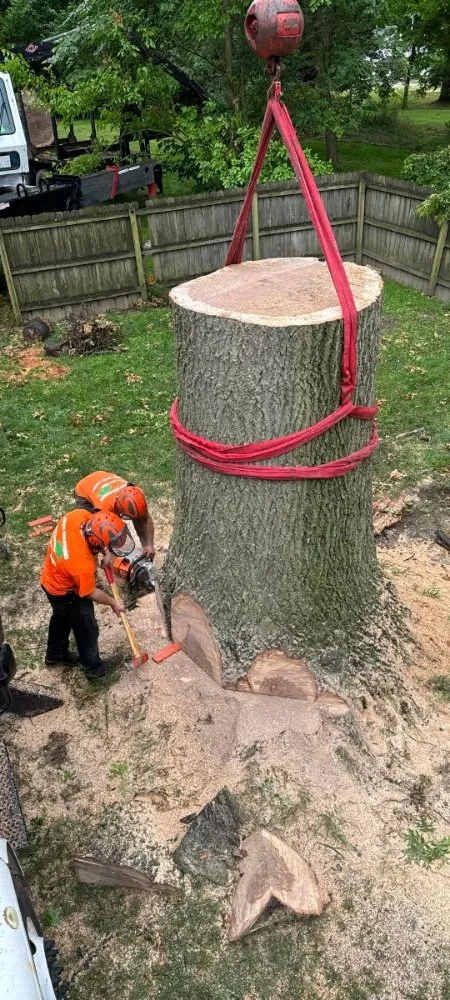 Reliable lawn care service experts serving Ravenna, OH - Apex -Solutionz