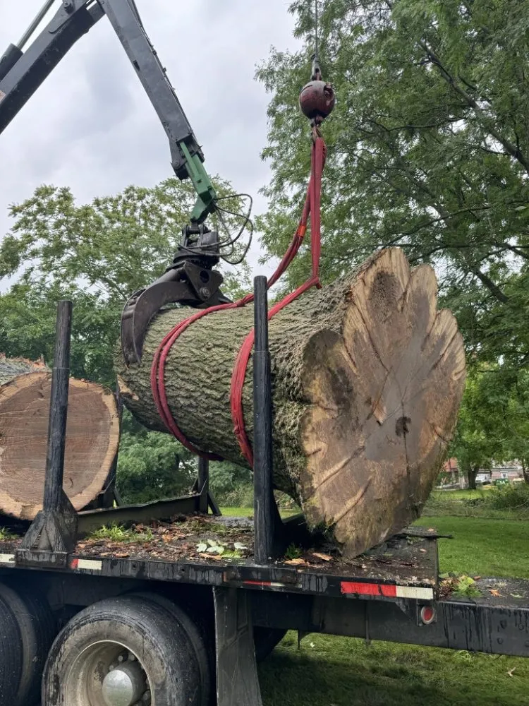 Local garden landscaping in Ravenna, OH - Apex -Solutionz