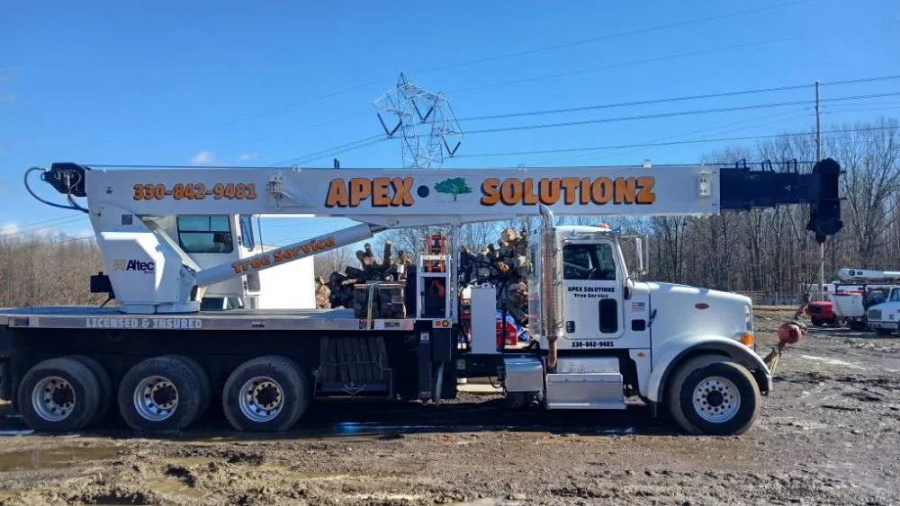 Professional landscape installation in Ravenna, OH by Apex -Solutionz