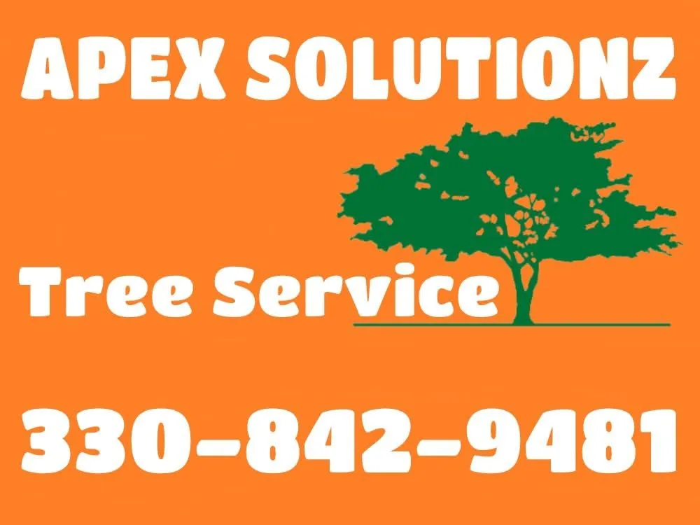 Expert residential landscaping in Ravenna, OH by Apex -Solutionz