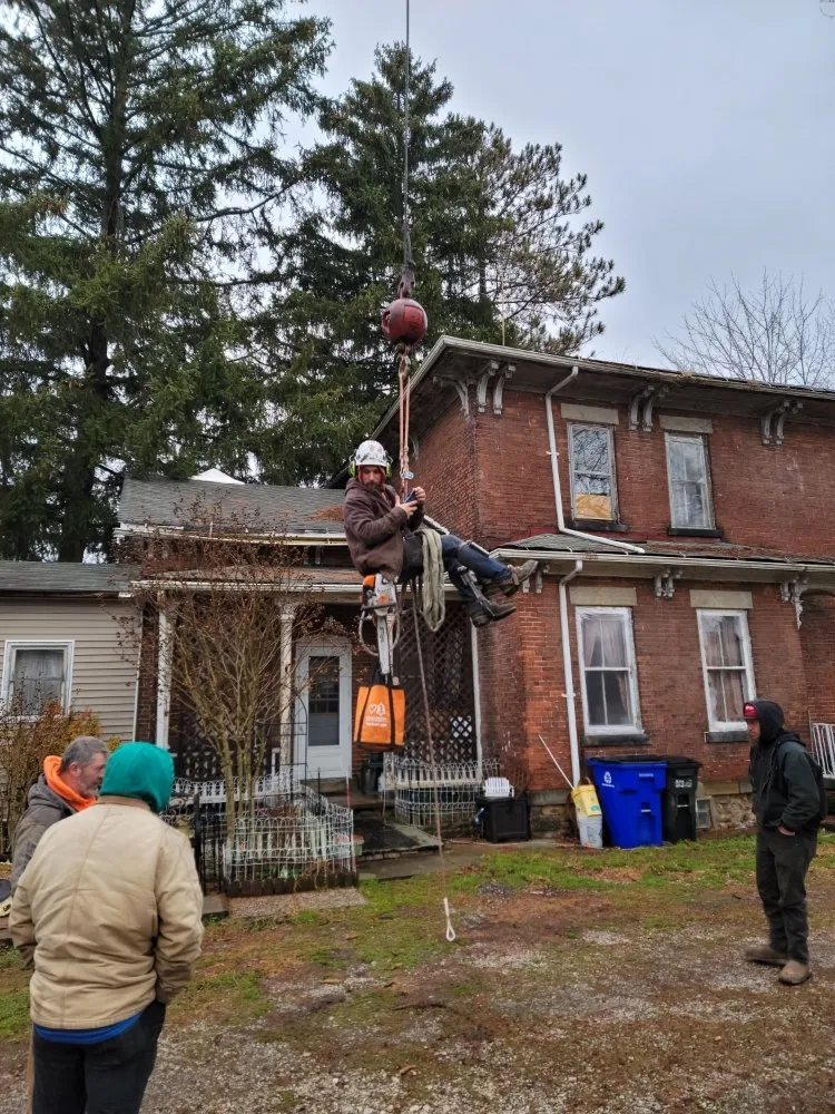 Top-rated yard maintenance in Ravenna, OH - Apex -Solutionz