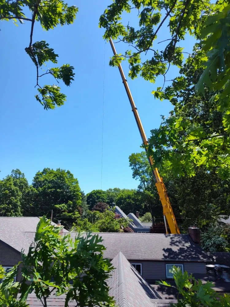 Affordable garden landscaping for residential properties across Ravenna, OH - Apex -Solutionz