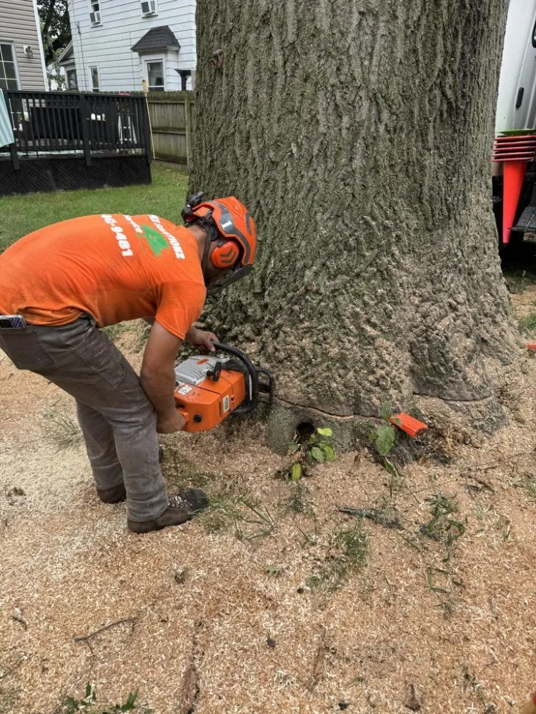 Expert lawn care service near you across Ravenna, OH - Apex -Solutionz