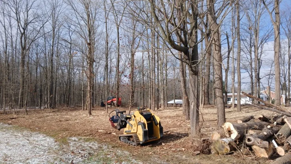 Expert yard cleanup service for beautiful yards in Ravenna, OH by Apex -Solutionz