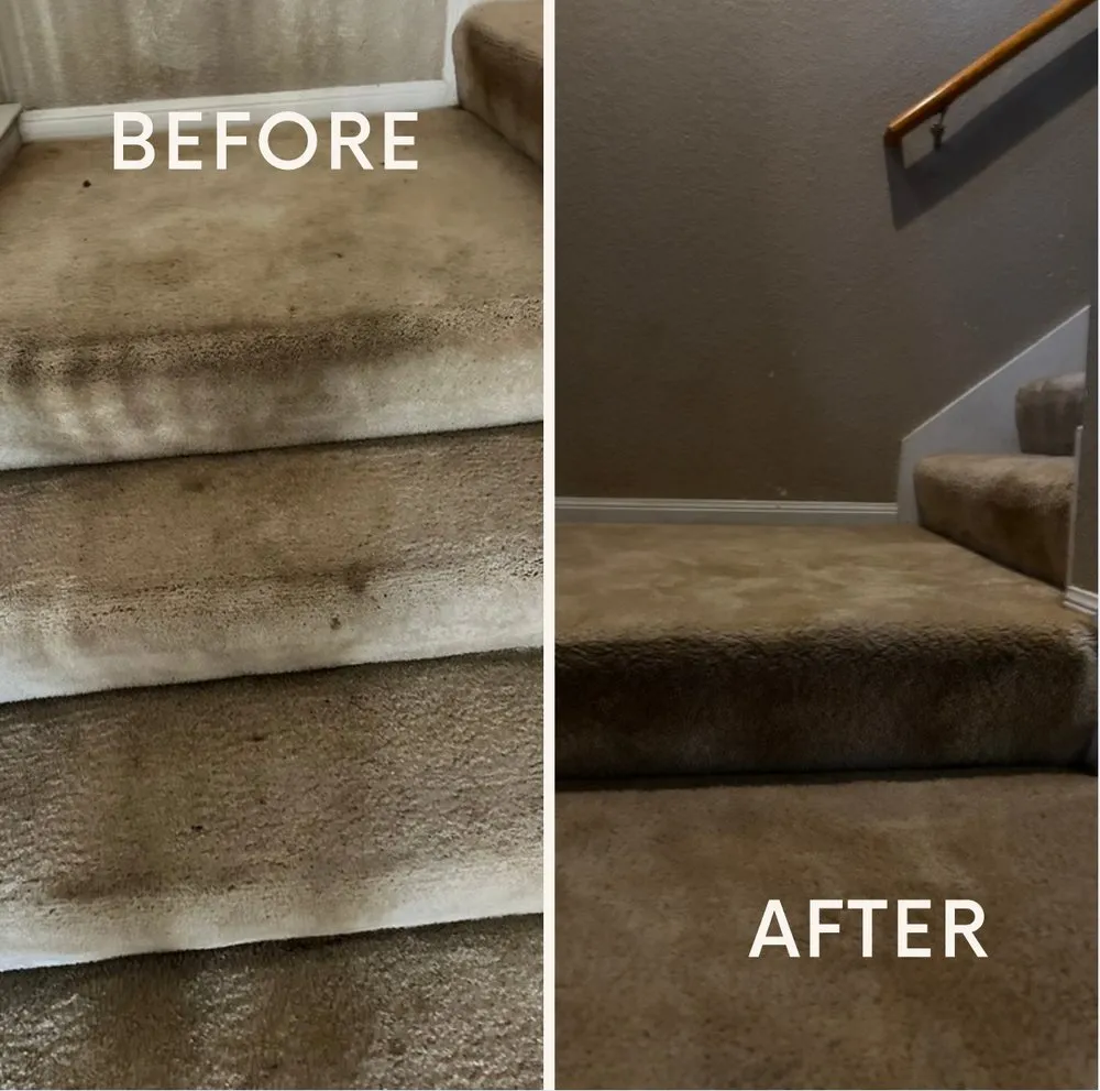 Trusted residential landscaping experts serving Killeen, TX - Apex Clean & Green