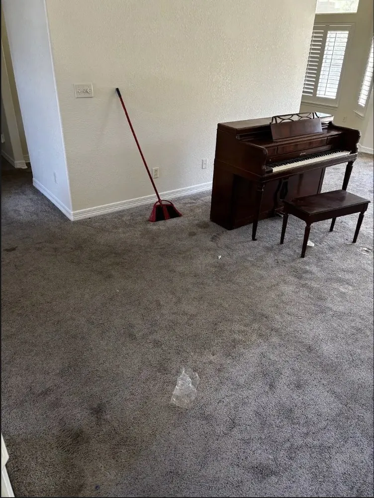 Local yard cleanup service in Killeen, TX - Apex Clean & Green