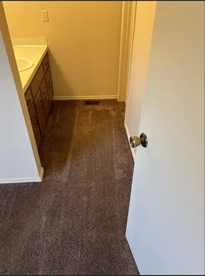 Apex Clean & Green Logo