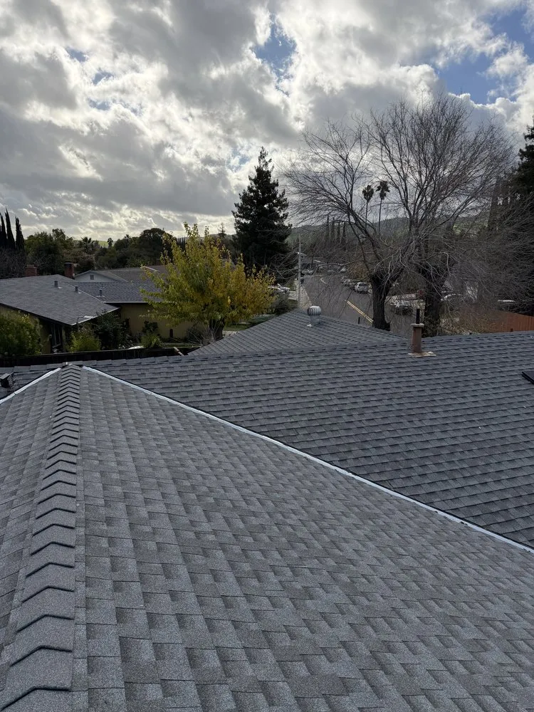 Trusted landscaping services in Concord, CA by Apex Construction & Landscape