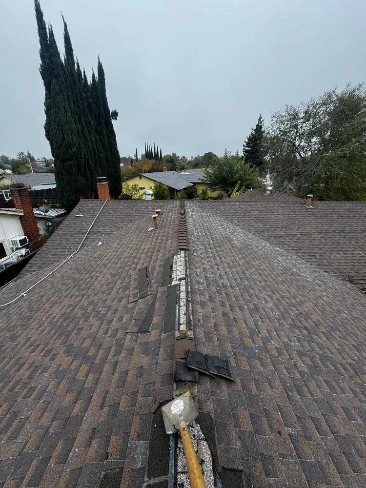 Expert yard cleanup service in Concord, CA by Apex Construction & Landscape