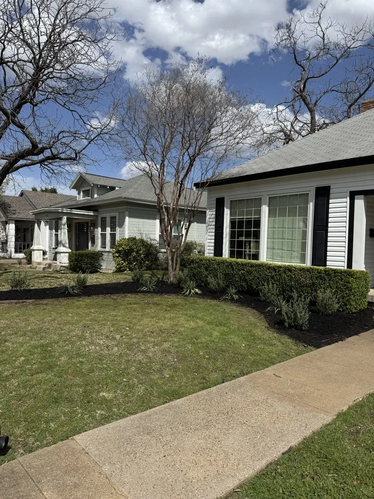 Expert lawn care service in Dallas, TX by Apex Construction & Landscaping