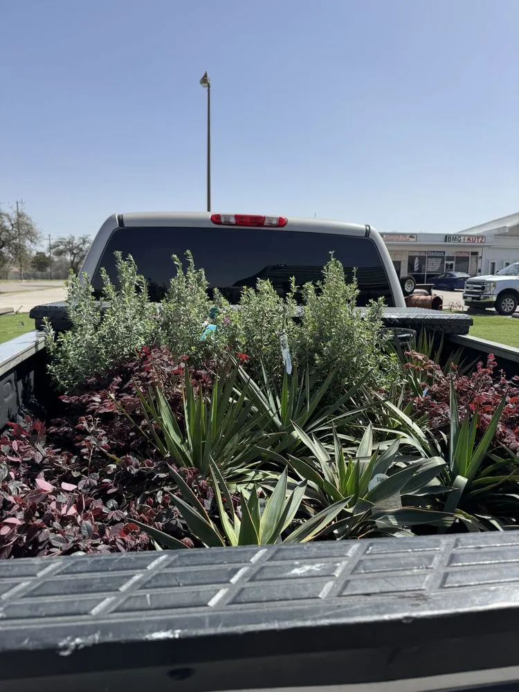 Top-rated yard cleanup service for residential properties across Dallas, TX - Apex Construction & Landscaping