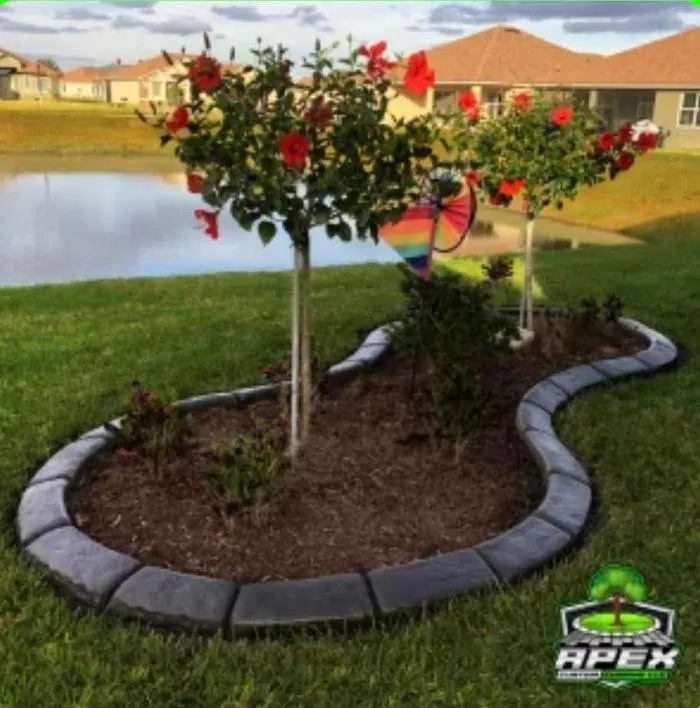 Professional yard maintenance in Winter Garden, FL - Apex Custom Curbing