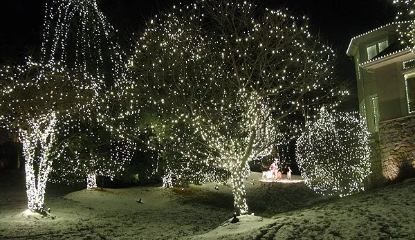 Affordable landscape installation in Alexandria, MN by Apex Exterior