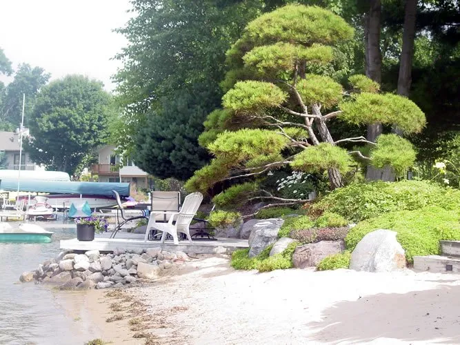 Expert yard cleanup service with custom design across Alexandria, MN - Apex Exterior