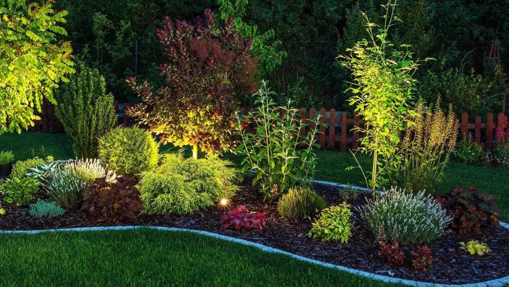 Local landscape design near you in Alexandria, MN by Apex Exterior