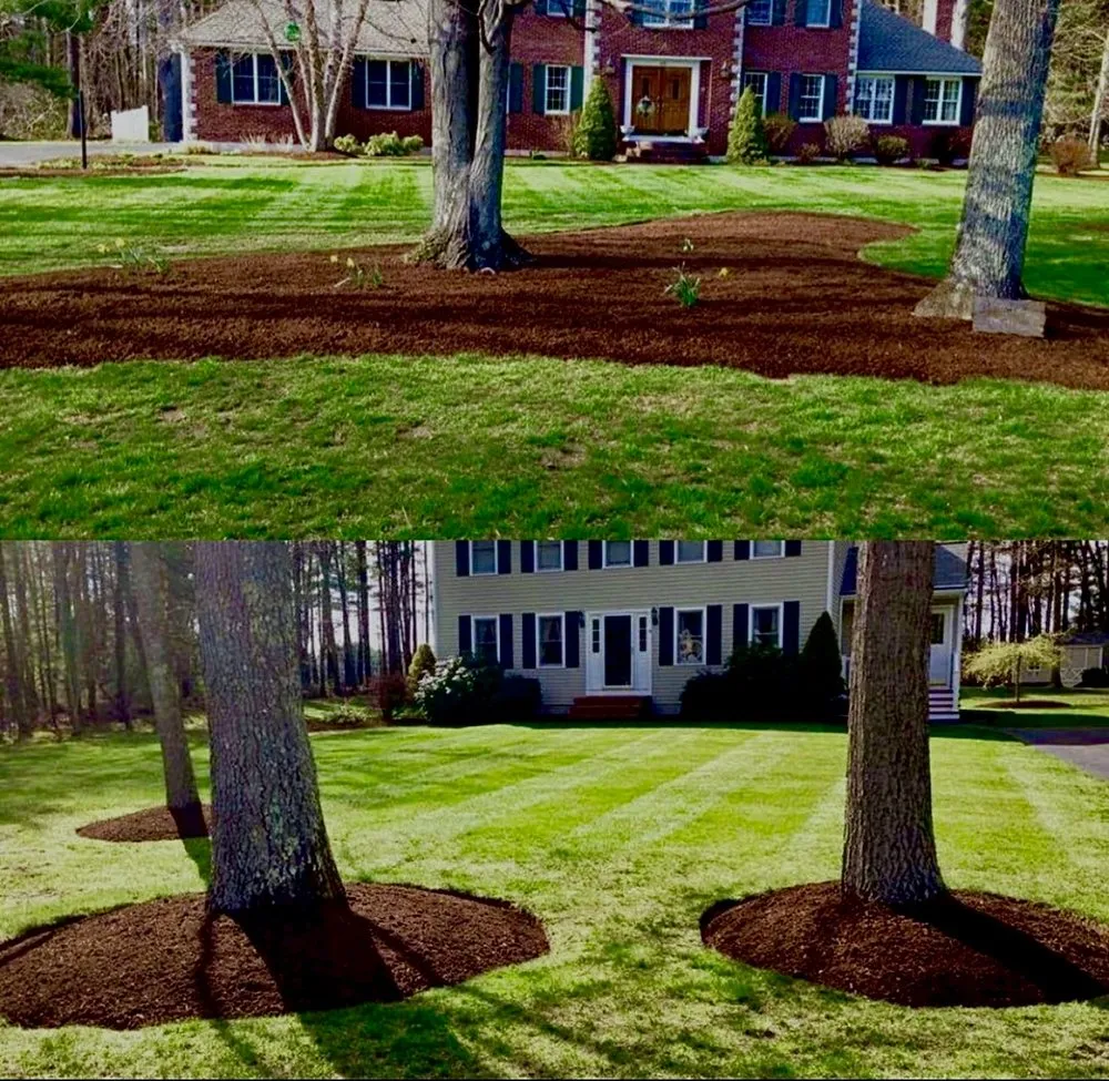 Professional landscape design in Abington, MA - ApeX Facility Xpert’s