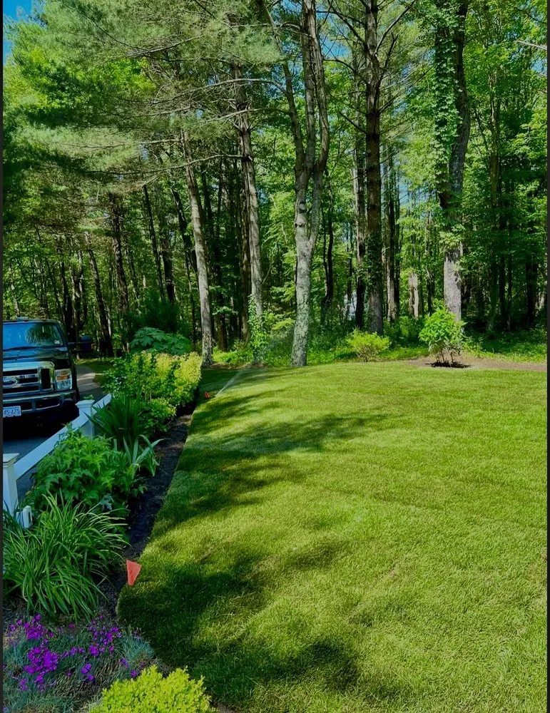 Local landscaping services in Abington, MA - ApeX Facility Xpert’s