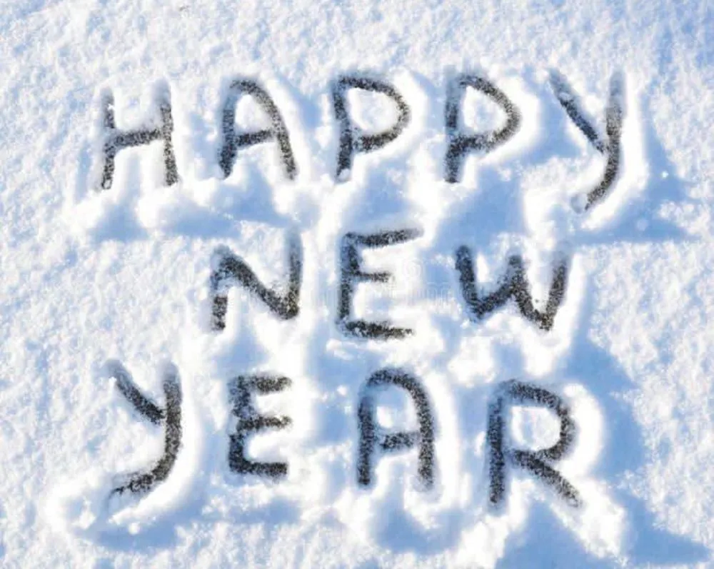 Affordable garden landscaping for year-round maintenance across Abington, MA - ApeX Facility Xpert’s