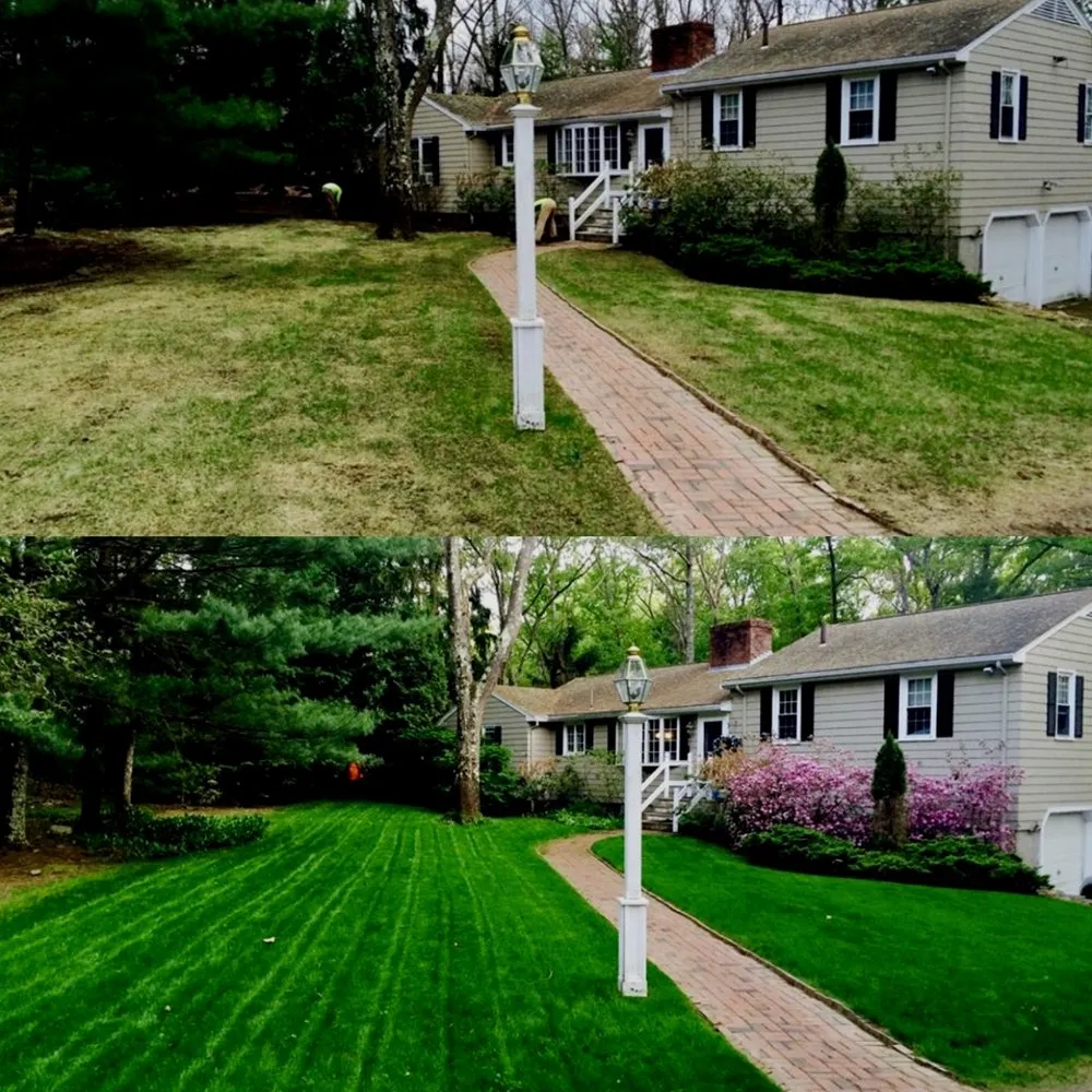 Top-rated landscape design in Abington, MA by ApeX Facility Xpert’s