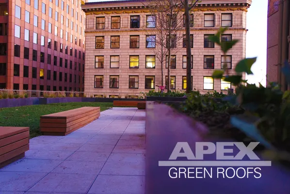 Apex Green Roofs