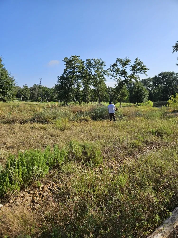 Local outdoor landscaping in Burton, TX - Apex Greenscapes