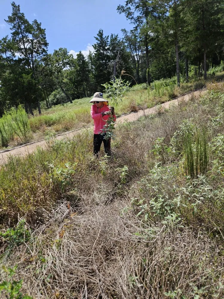 Affordable landscaping services in Burton, TX by Apex Greenscapes