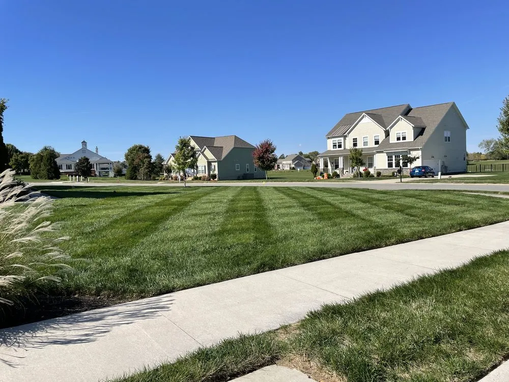 Trusted yard cleanup service for residential properties in Aylett, VA by Apex Grounds
