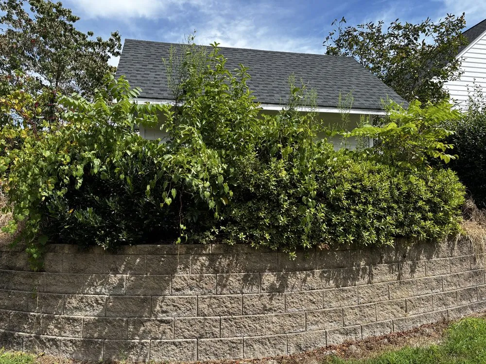 Professional residential landscaping experts serving Aylett, VA - Apex Grounds