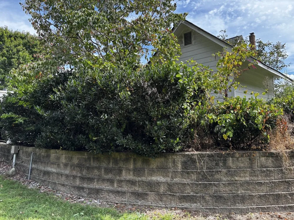 Trusted residential landscaping experts serving Aylett, VA - Apex Grounds
