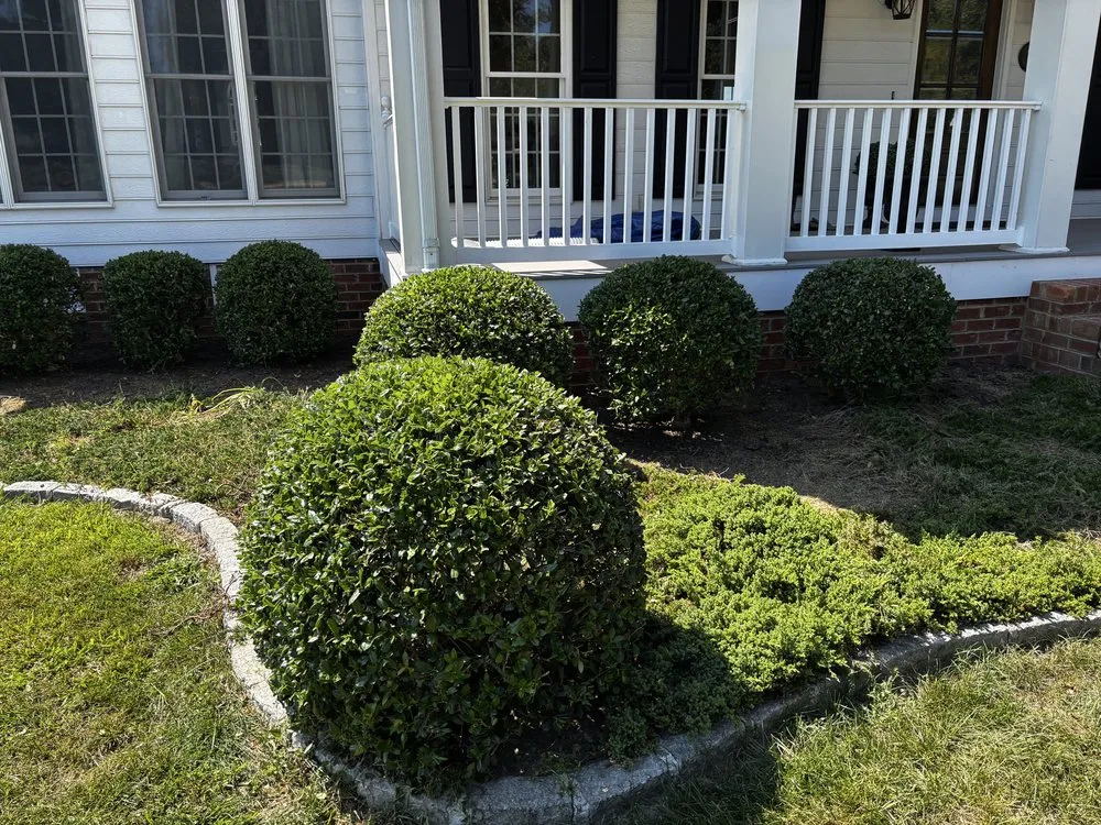 Top-rated landscape design near you across Aylett, VA - Apex Grounds
