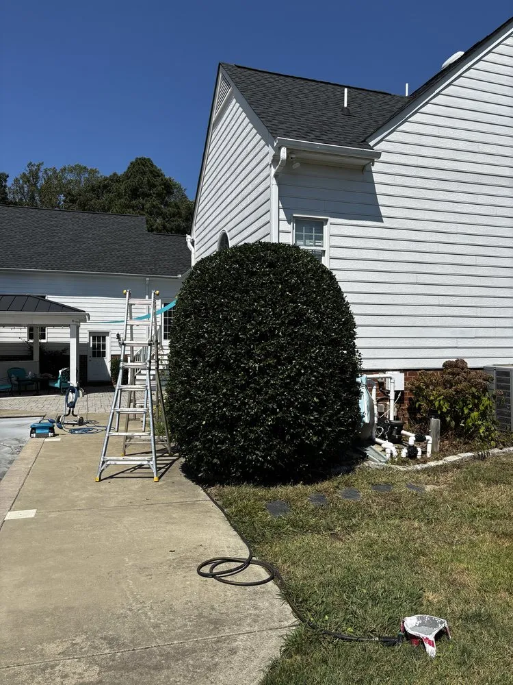 Custom lawn care service experts serving Aylett, VA - Apex Grounds