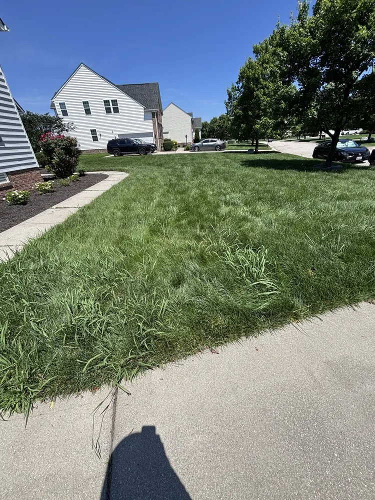 Trusted landscape design in Aylett, VA by Apex Grounds