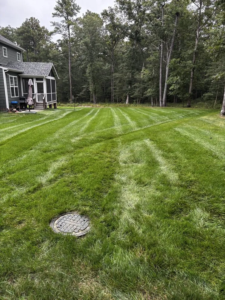 Affordable yard cleanup service near you across Aylett, VA - Apex Grounds