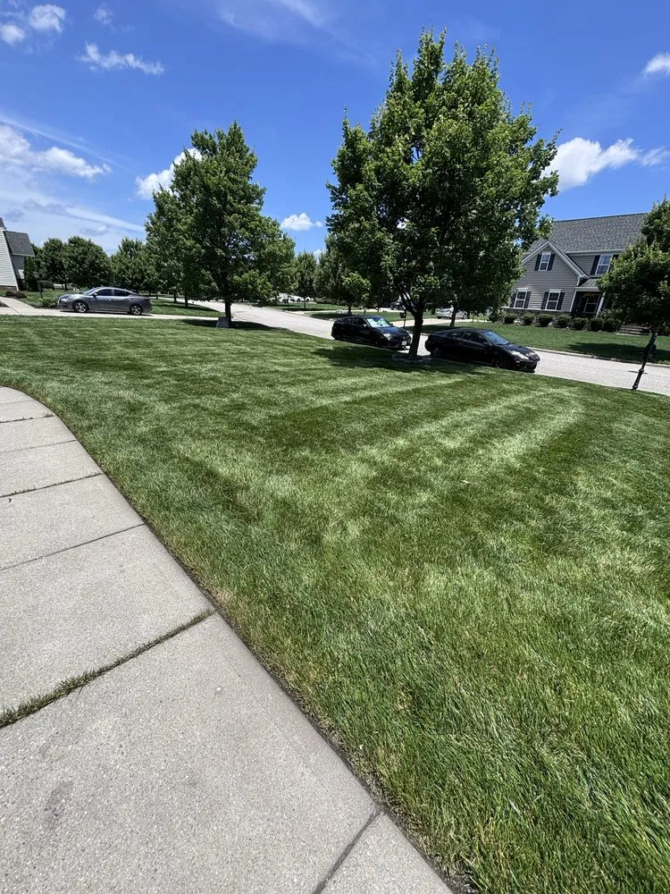 Top-rated landscape design for residential properties across Aylett, VA - Apex Grounds