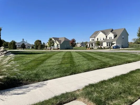 Apex Grounds