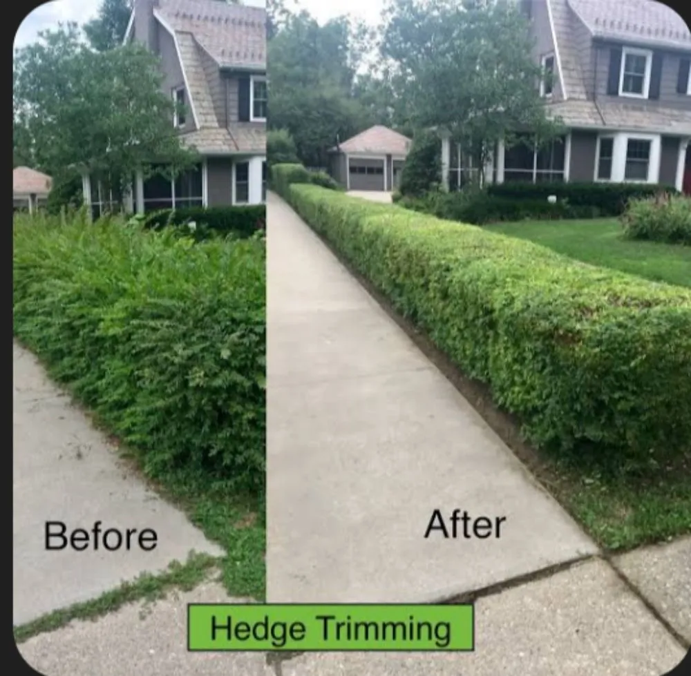 Local landscape design in Longmont, CO by Apex Grounds Maintenance