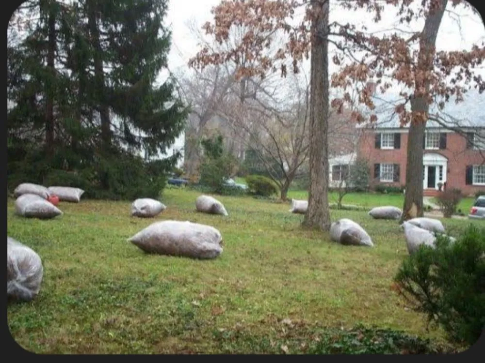 Local lawn mowing service in Longmont, CO by Apex Grounds Maintenance