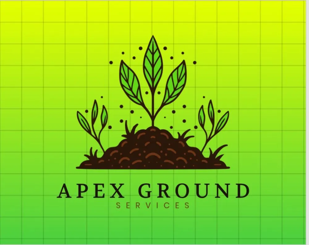 Local landscape installation with custom design across Longmont, CO - Apex Grounds Maintenance