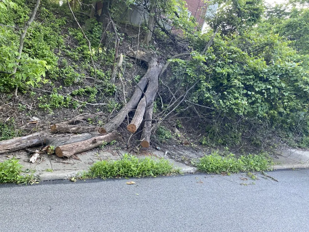 Professional landscaping services for year-round maintenance across Plum, PA - Apex Hauling & Landscape