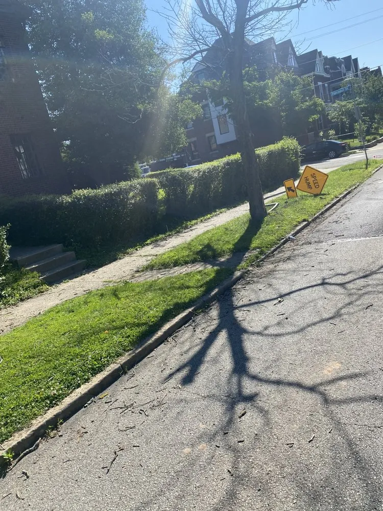 Trusted landscape installation in Plum, PA - Apex Hauling & Landscape