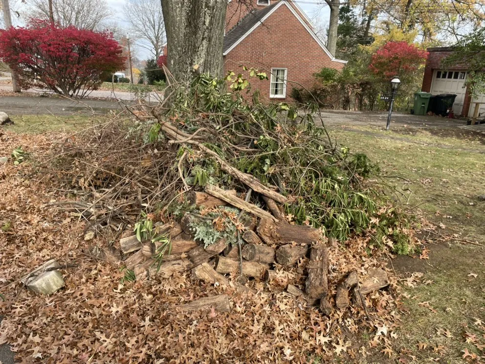 Trusted yard cleanup service in Plum, PA - Apex Hauling & Landscape