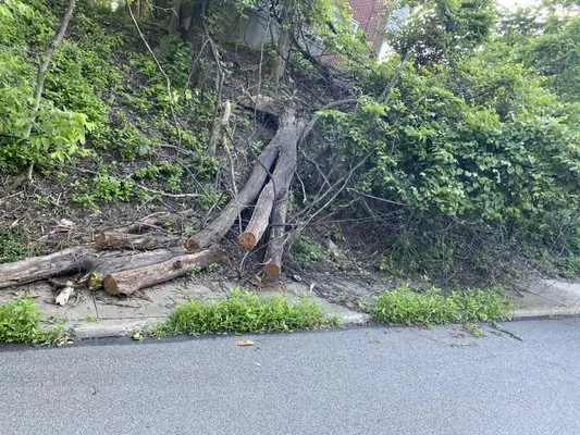 Apex Hauling & Landscape