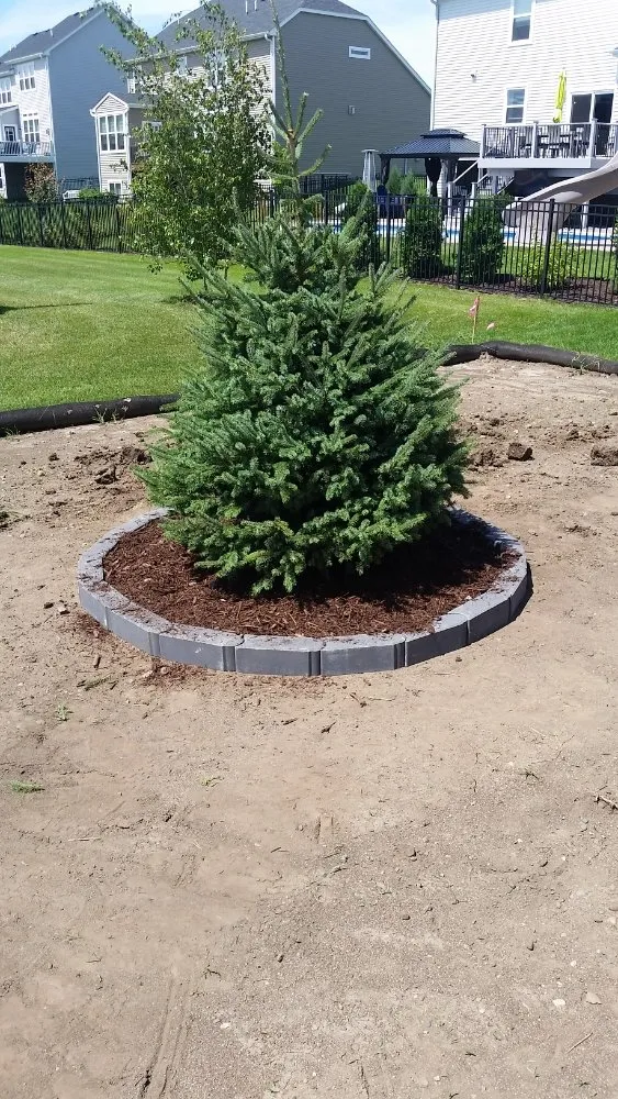 Custom yard maintenance in Cottage Grove, MN - Apex Home & Outdoor Service llc