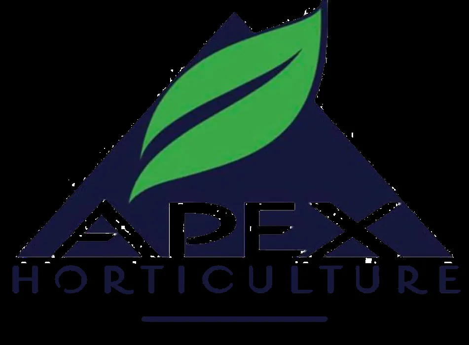 Reliable yard cleanup service experts serving New Fairfield, CT - Apex Horticulture