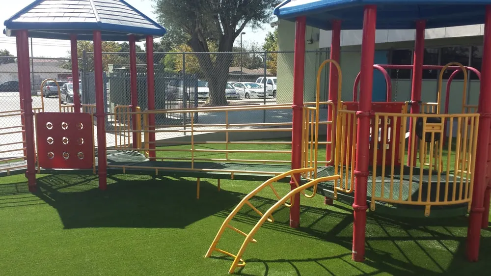 Affordable lawn care service in Valencia, CA - Apex Installations and Building